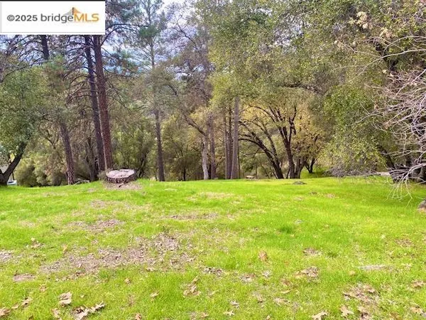 a view of outdoor space with garden