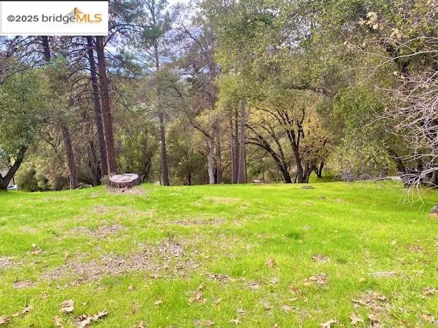 a view of outdoor space with garden
