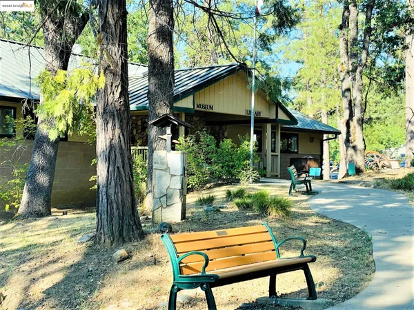 a backyard of a house with table and chairs potted plants and large tree