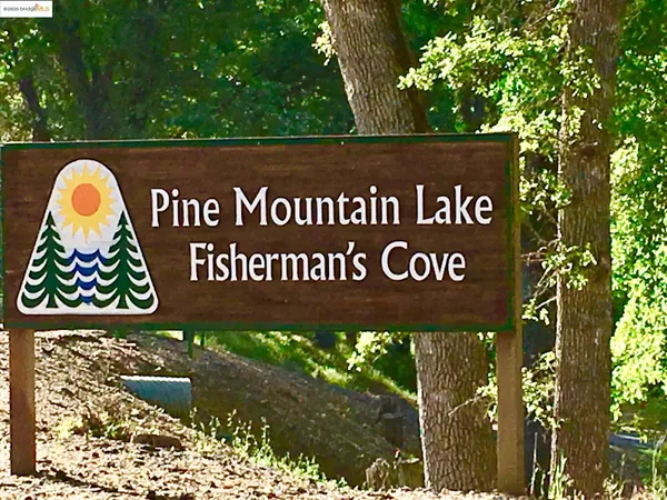 a view of a yard with plants and trees