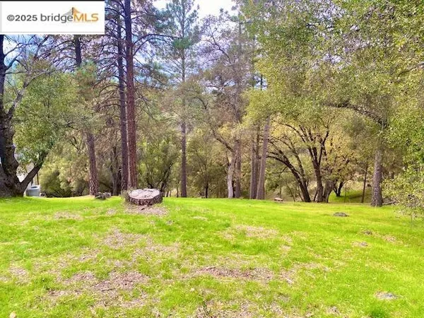 a view of a grassy field with trees