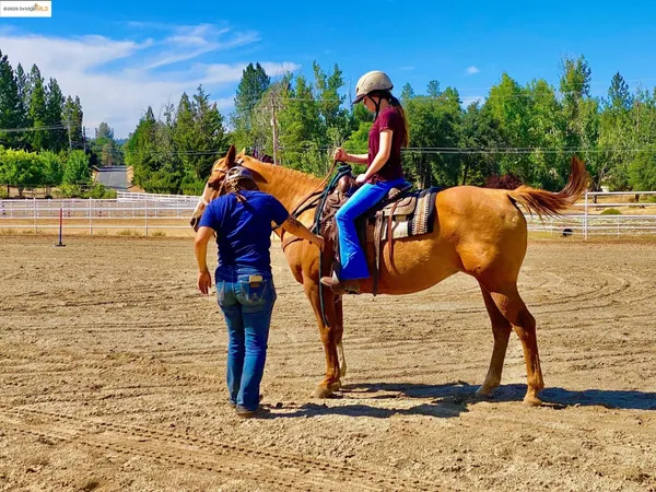 a sign that is on a street sign