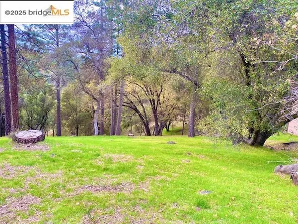 a view of a big yard with an tree