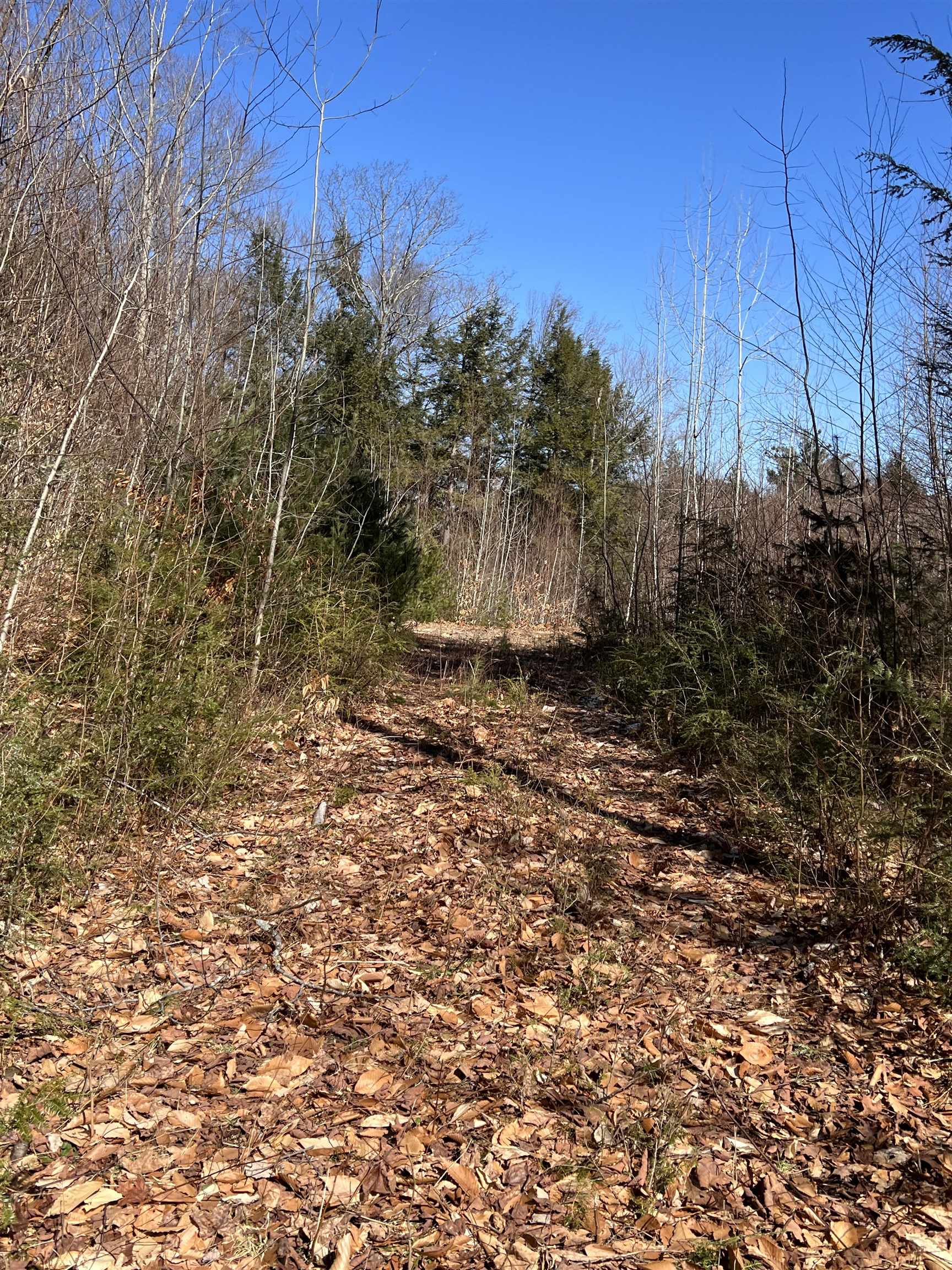 0 Old North Branch Road Antrim, NH 03440 - Photo 3 of 11 Gallery Image 3