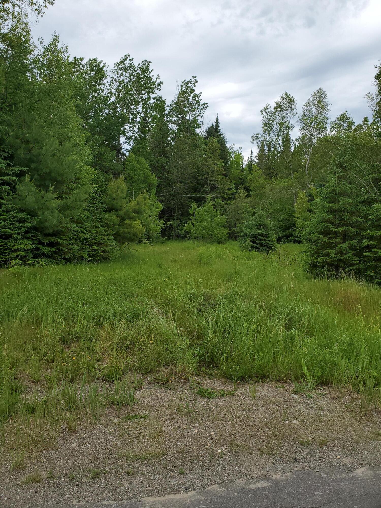 2291 Bancroft Road Wytopitlock, ME 04497 - Photo 10 of 14 20210614_151130