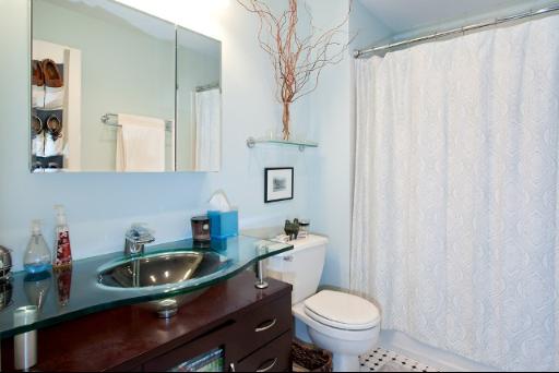 14 North Peoria Street, Unit 6D Chicago, IL 60607 - Photo 8 of 11