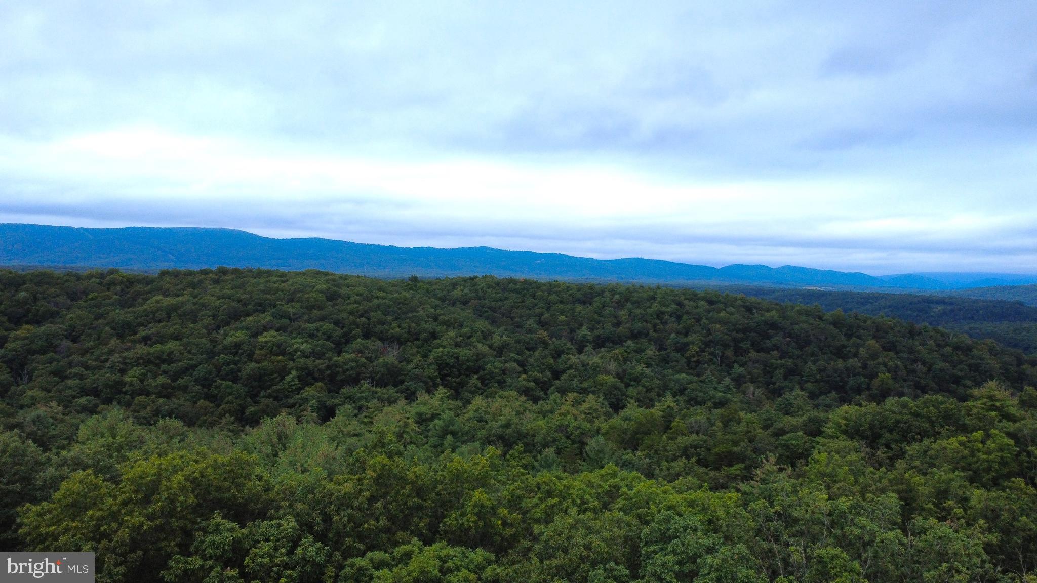 22200 Old Sawmill Road Oldtown, MD 21555 - Photo 1 of 1 an aerial view of houses covered in trees