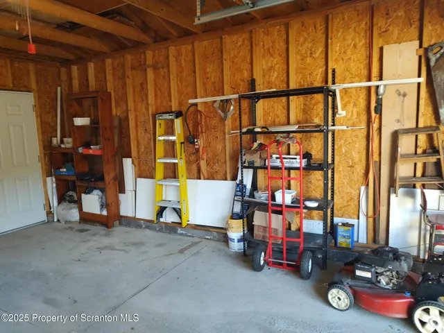 a view of a yard with plants