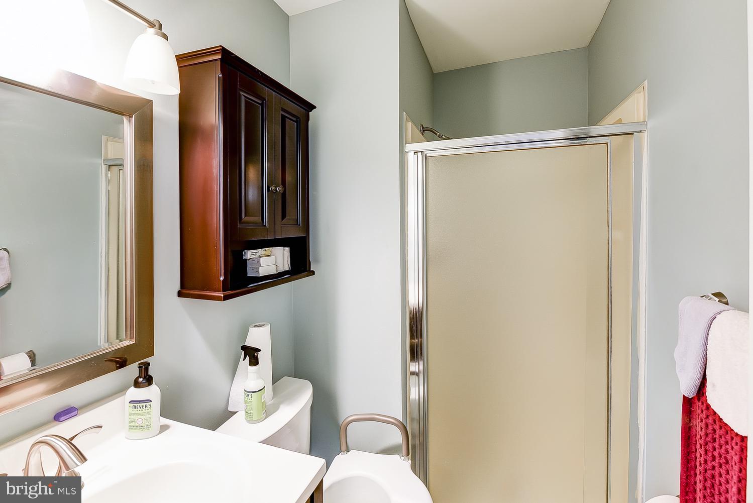 3140 Cherry Road Northeast, Unit 38 Washington, DC 20018 - Photo 22 of 35 Master Bath1