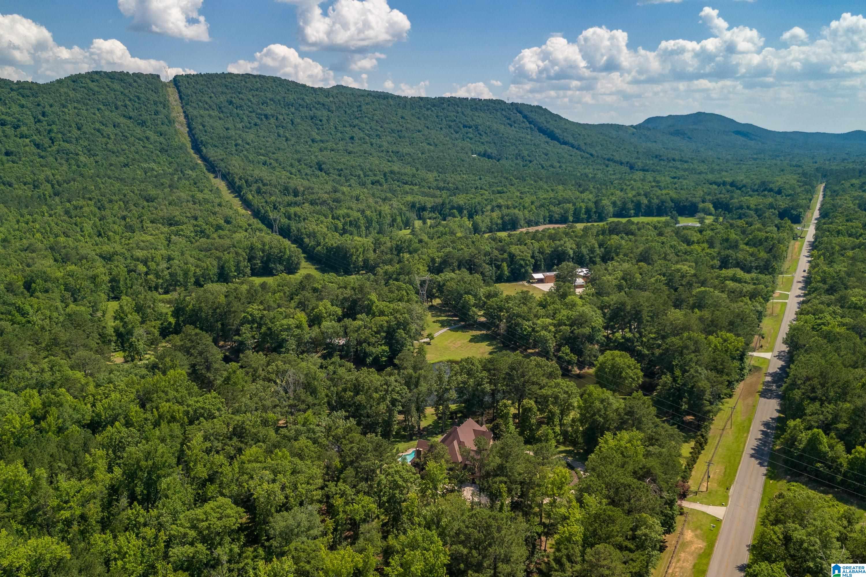 9314 Bear Creek Road Sterrett, AL 35147 - Photo 96 of 100