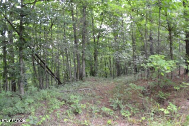 318 Rhodas Way Sunbright, TN 37872 - Photo 30 of 55 DSC_0061
