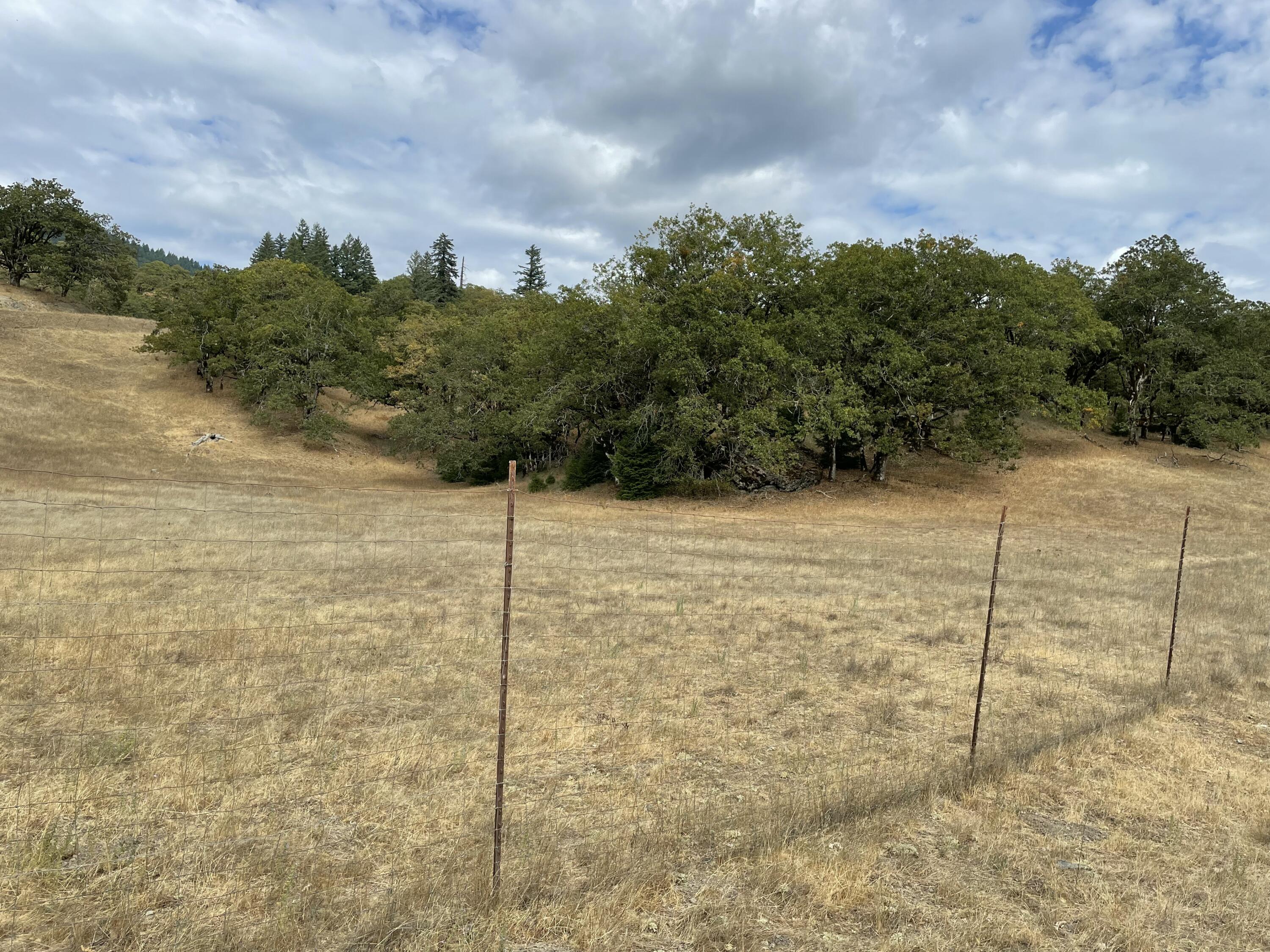 40-acres 40-acres Ridge Road Mad River, CA 95526 - Photo 25 of 28