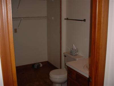 17513 Meadow Wood Road, Unit 29 Spring Lake, MI 49456 - Photo 11 of 16 Additional Photo