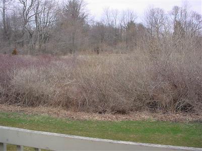 17513 Meadow Wood Road, Unit 29 Spring Lake, MI 49456 - Photo 3 of 16 Additional Photo