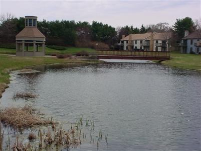 17513 Meadow Wood Road, Unit 29 Spring Lake, MI 49456 - Photo 4 of 16 Additional Photo