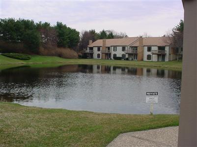 17513 Meadow Wood Road, Unit 29 Spring Lake, MI 49456 - Photo 5 of 16 Additional Photo