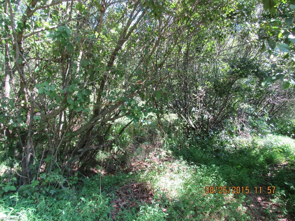 0 Jefferson Church Road King, NC 27021 - Photo 10 of 10 Gallery Image 10