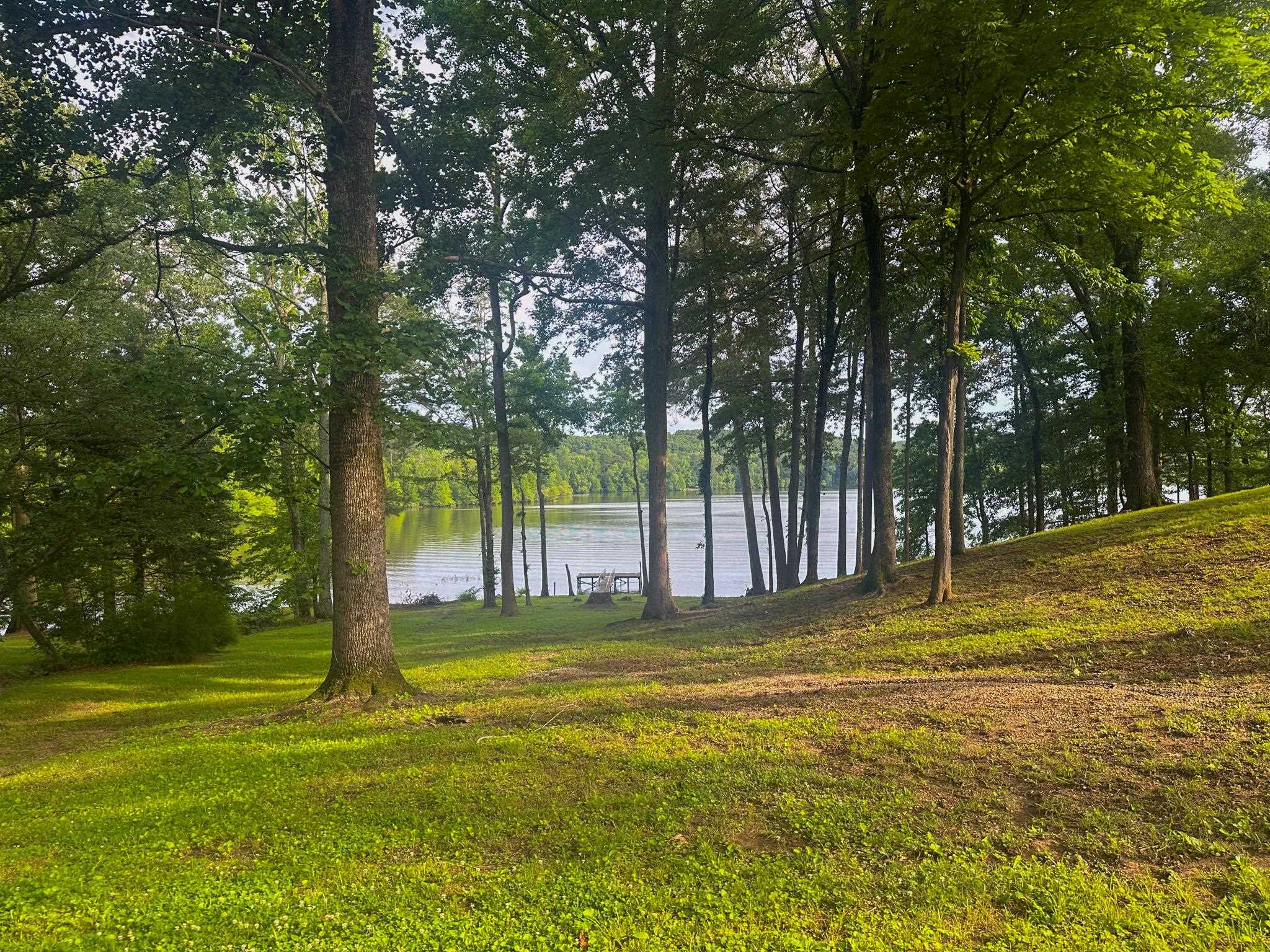 975 Buchanan Peninsula Street Cherokee, AL 35616 - Photo 8 of 34