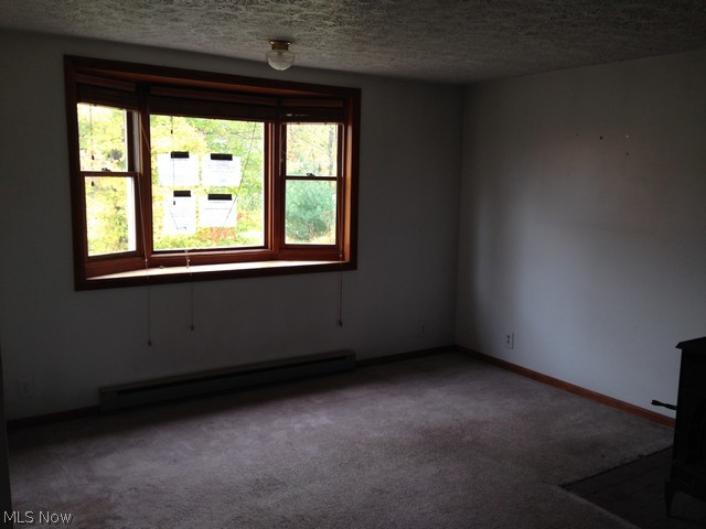 1755 Lafevre Road Geneva, OH 44041 - Photo 10 of 17 Living room
