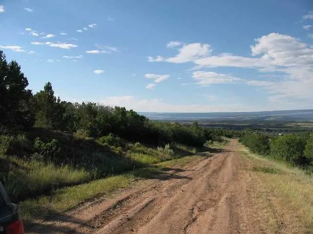 a view of a dry yard with wooden fence