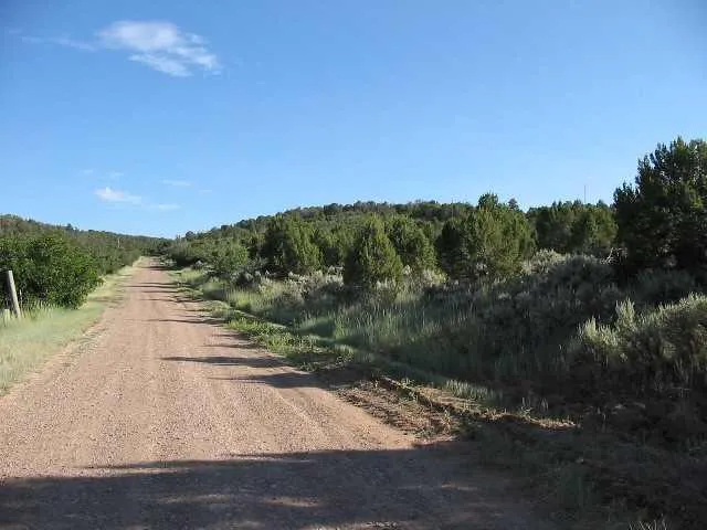 a view of a road with a yard