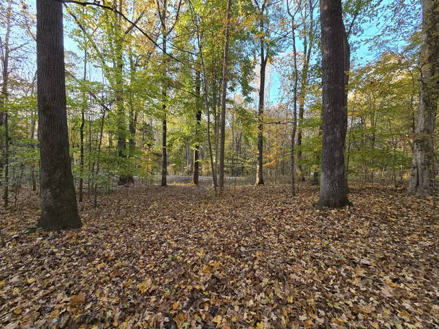 a view of outdoor space with lots of trees