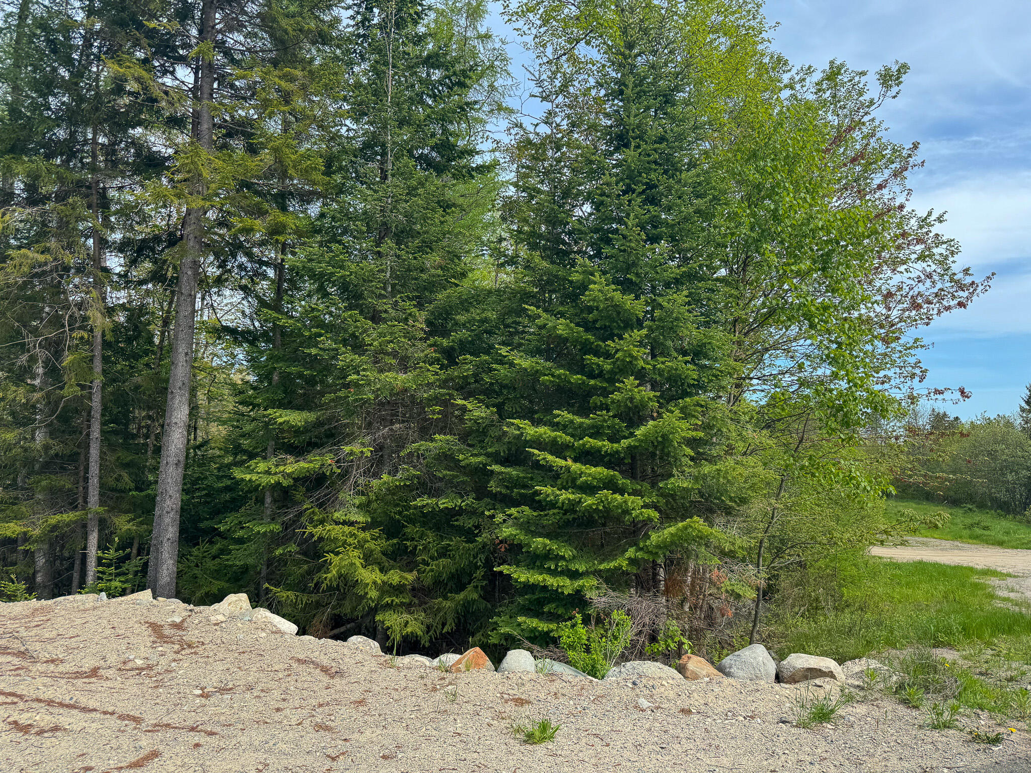 37 Corn Hill Road Machiasport, ME 04655 - Photo 2 of 9 2