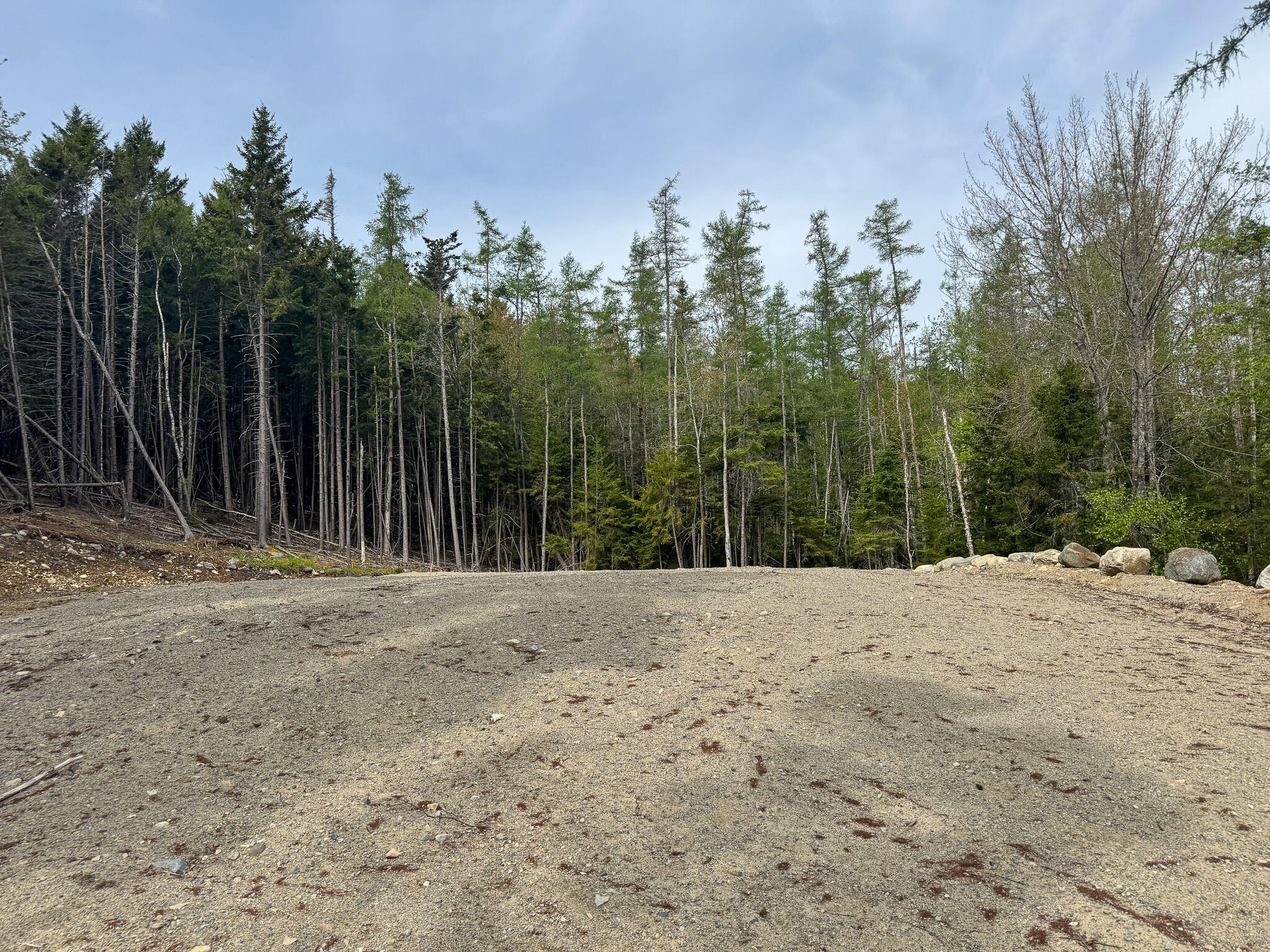 37 Corn Hill Road Machiasport, ME 04655 - Photo 3 of 9 3