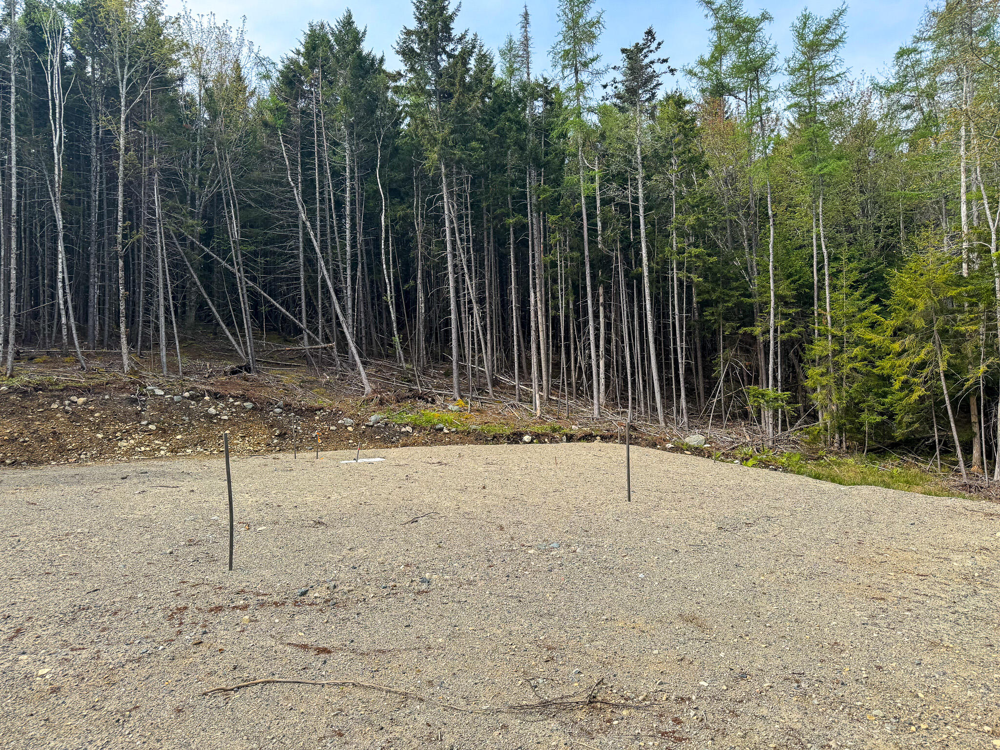 37 Corn Hill Road Machiasport, ME 04655 - Photo 5 of 9 5