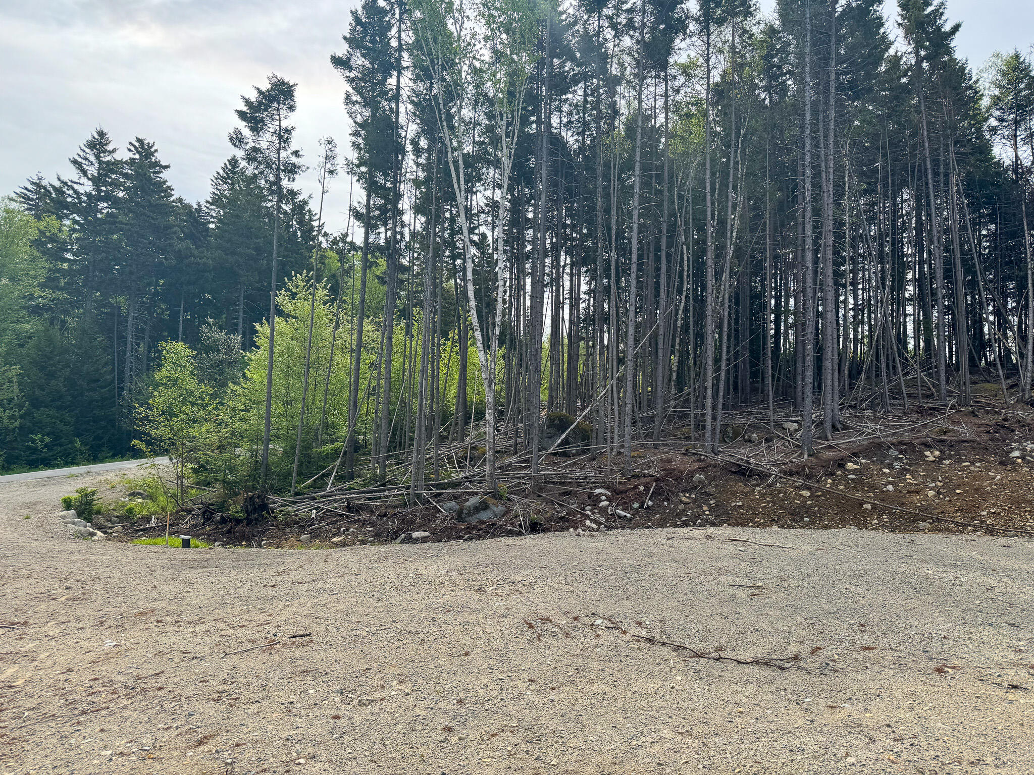 37 Corn Hill Road Machiasport, ME 04655 - Photo 7 of 9 7