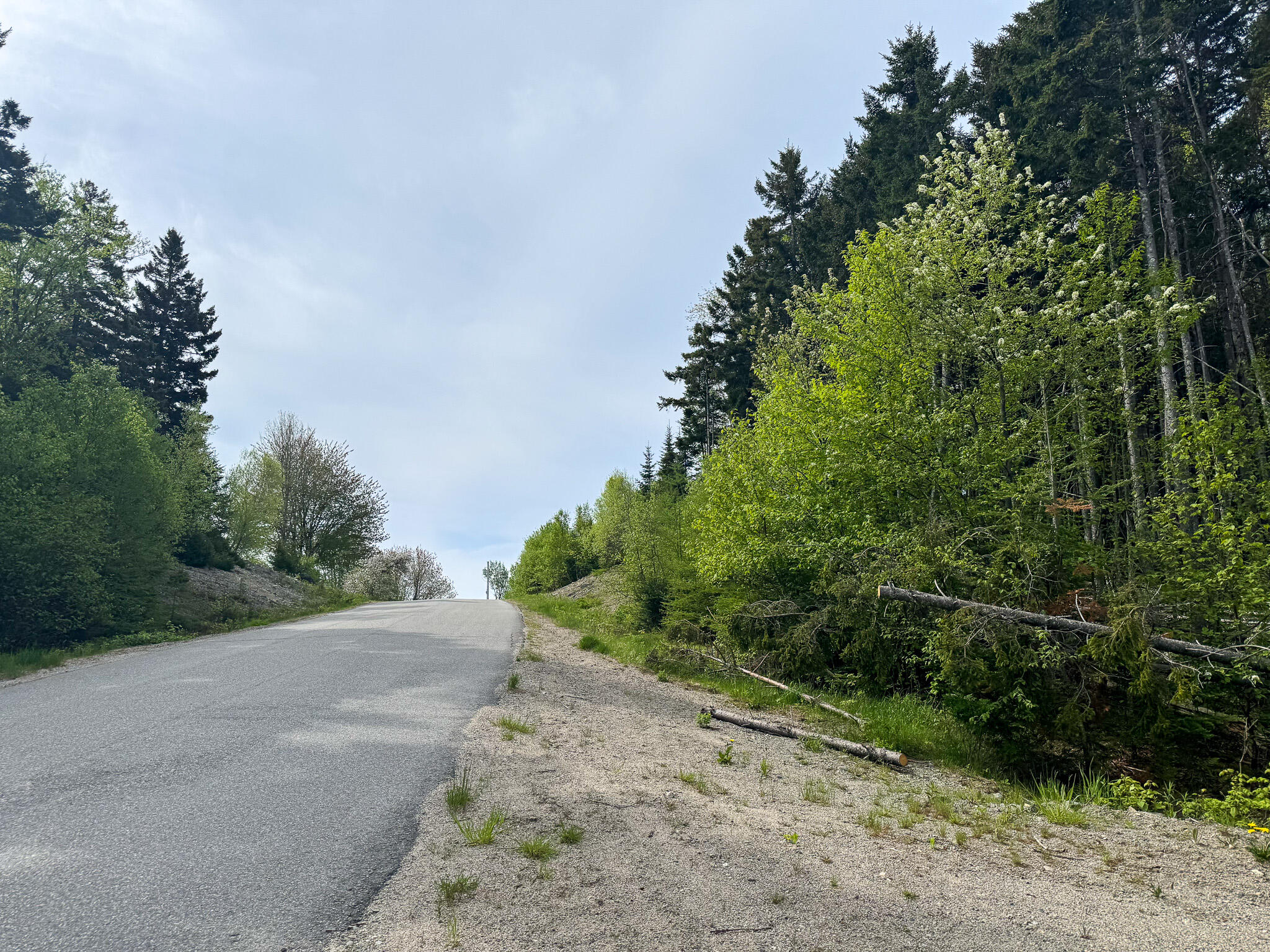 37 Corn Hill Road Machiasport, ME 04655 - Photo 8 of 9 8