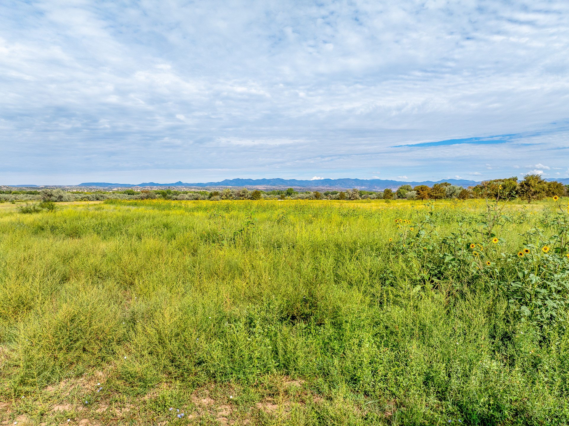 12 Sparkling Moolah Road Pena Blanca, NM 87041 - Photo 15 of 24