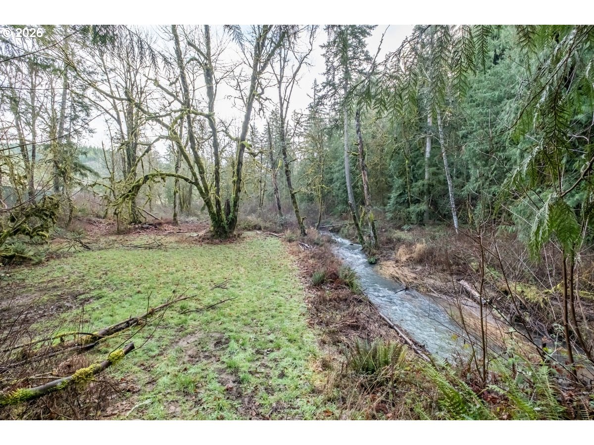 37905 South Wilhoit Road Molalla, OR 97038 - Photo 37 of 48 a view of a large yard with lots of green space
