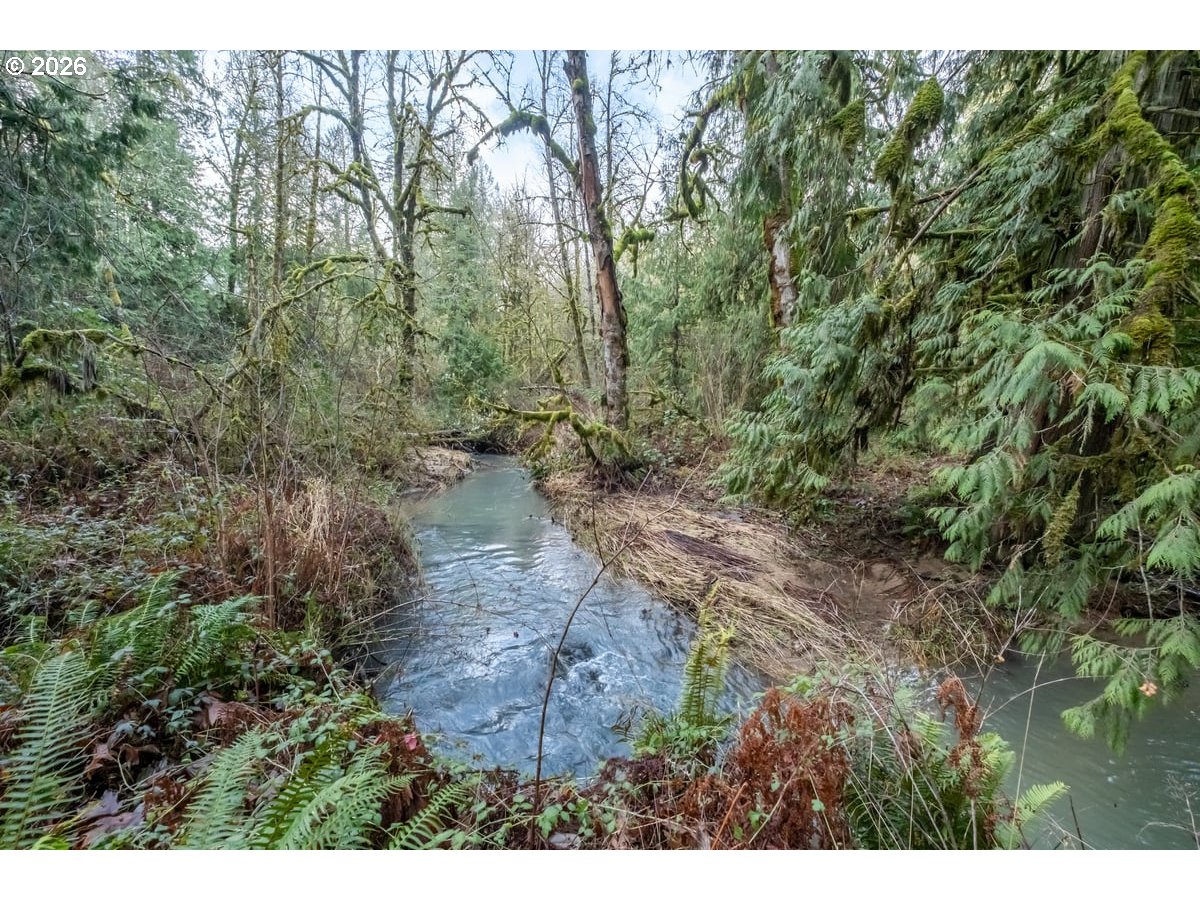 37905 South Wilhoit Road Molalla, OR 97038 - Photo 38 of 48 a view of a yard with a tree