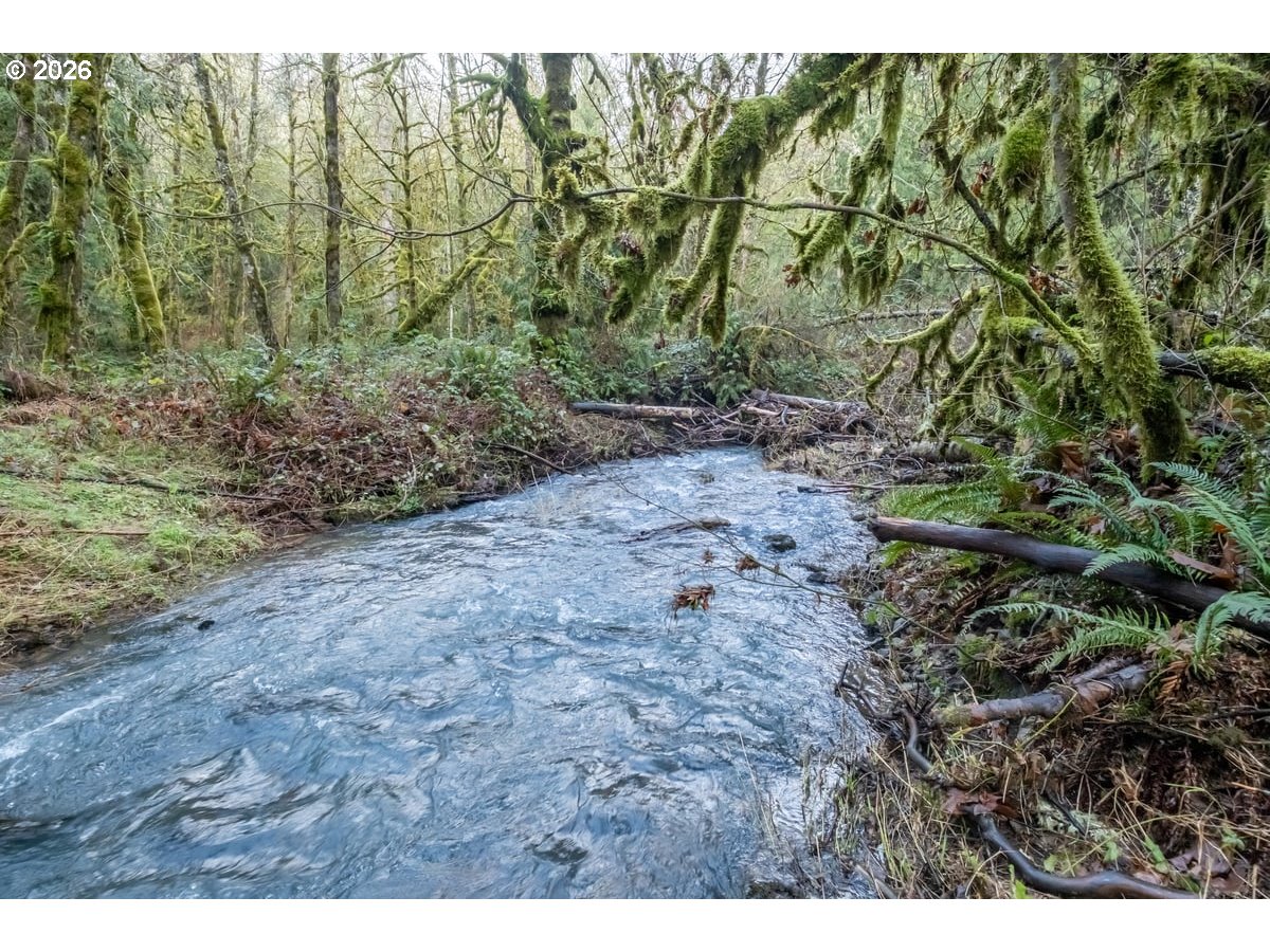 37905 South Wilhoit Road Molalla, OR 97038 - Photo 39 of 48 a view of a yard with plants and wooden bench