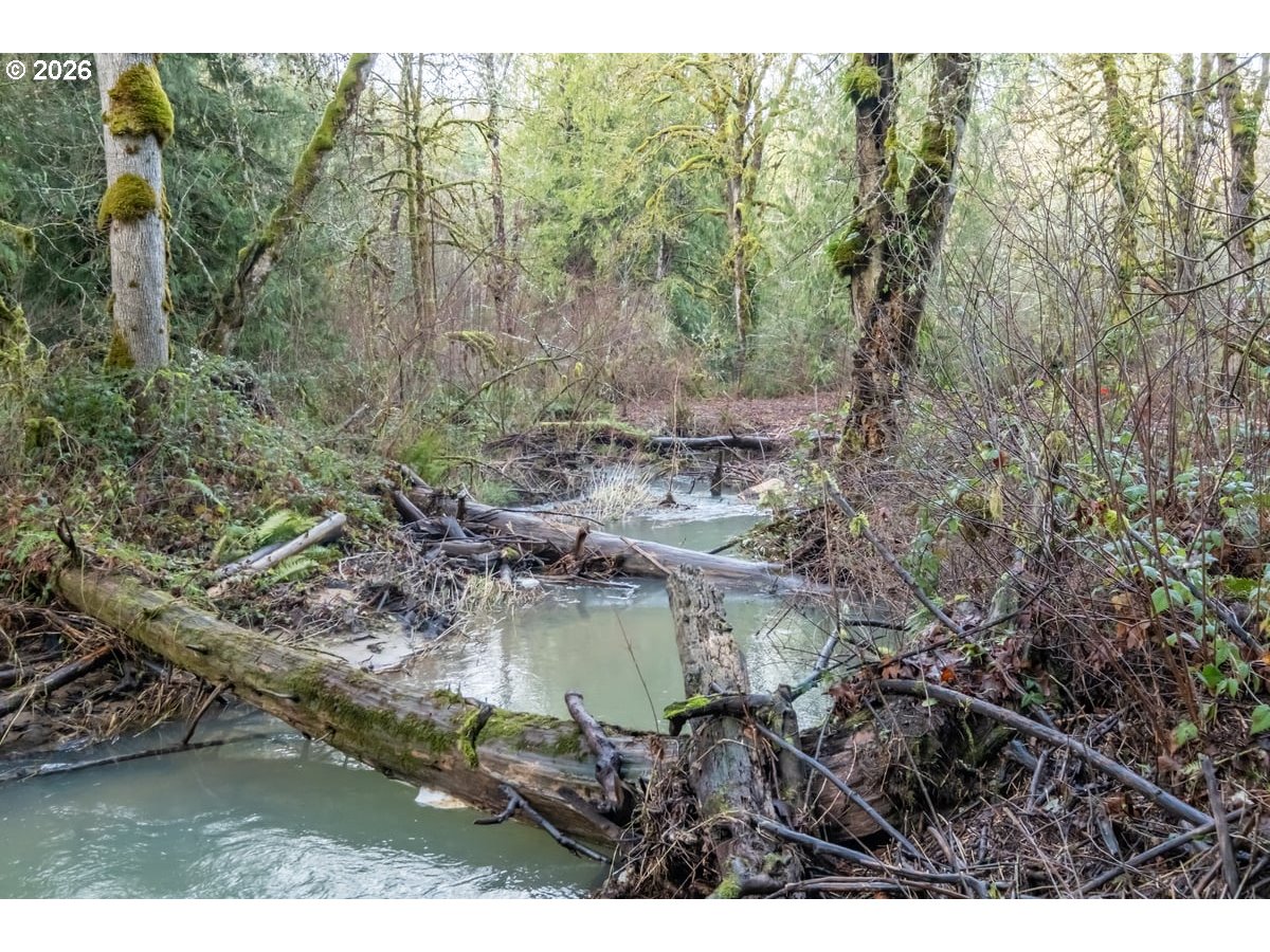 37905 South Wilhoit Road Molalla, OR 97038 - Photo 40 of 48 a bird view of house