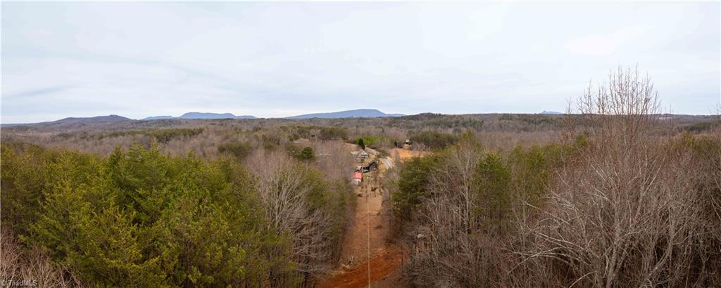 0 Dearmin Road Westfield, NC 27053 - Photo 16 of 33