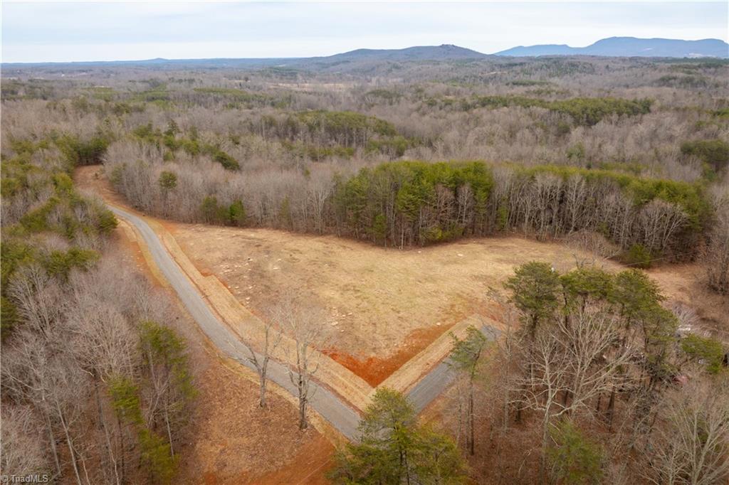 0 Dearmin Road Westfield, NC 27053 - Photo 17 of 33