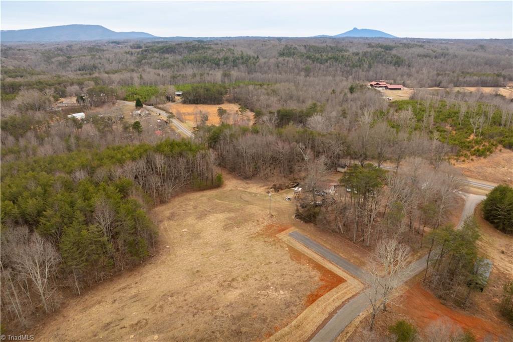 0 Dearmin Road Westfield, NC 27053 - Photo 19 of 33