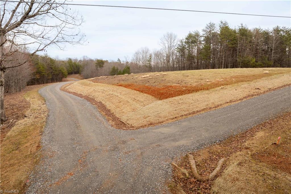 0 Dearmin Road Westfield, NC 27053 - Photo 22 of 33