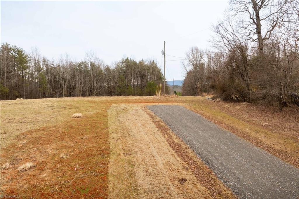0 Dearmin Road Westfield, NC 27053 - Photo 23 of 33