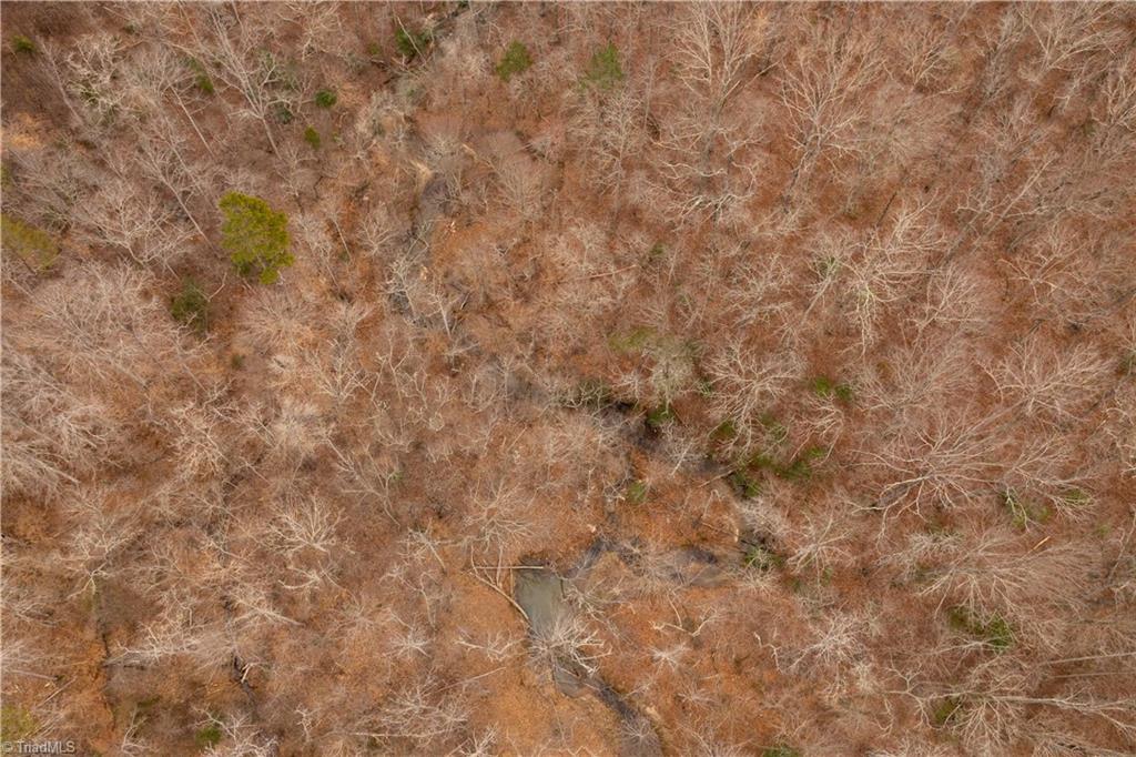 0 Dearmin Road Westfield, NC 27053 - Photo 25 of 33