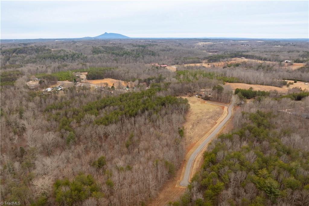 0 Dearmin Road Westfield, NC 27053 - Photo 26 of 33