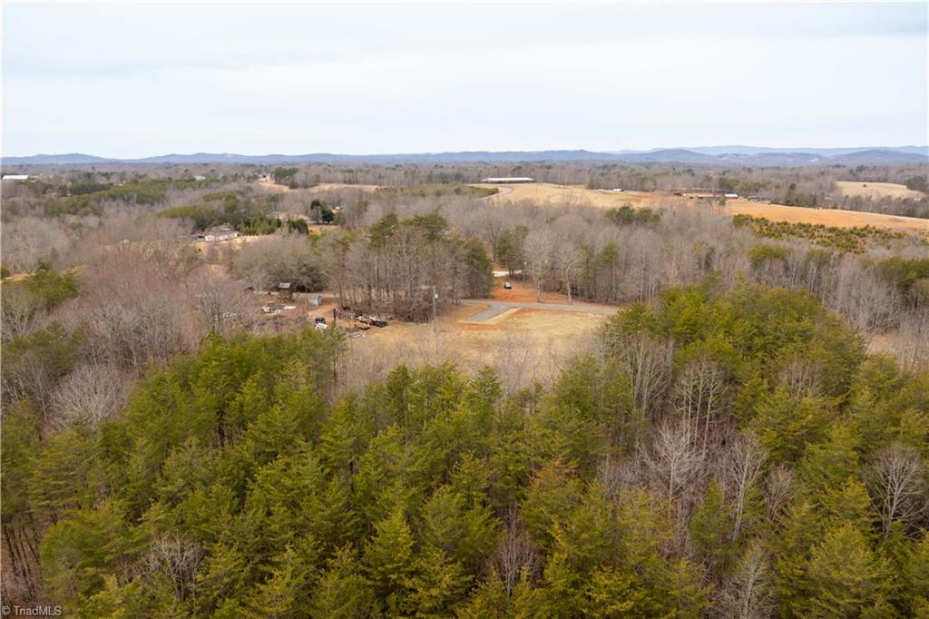 0 Dearmin Road Westfield, NC 27053 - Photo 27 of 33