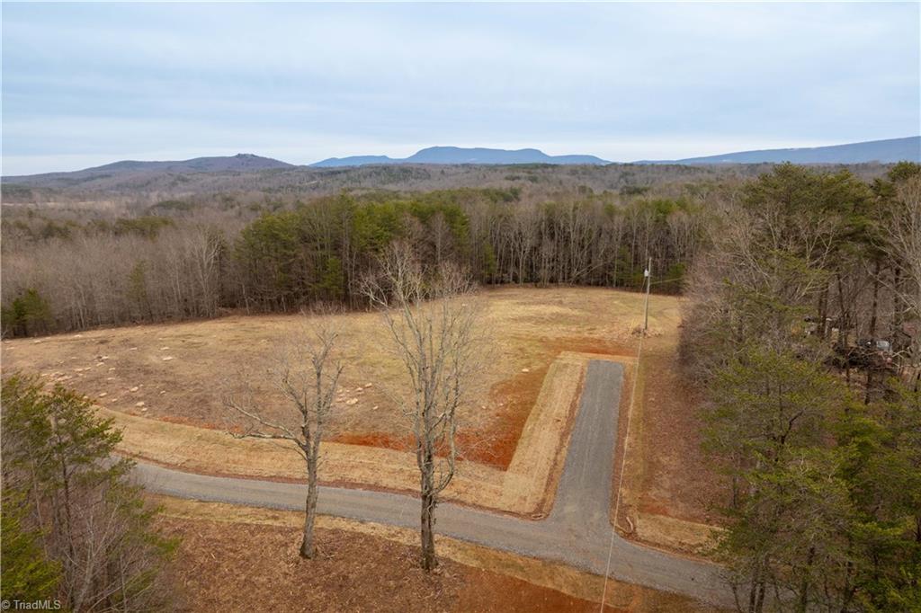 0 Dearmin Road Westfield, NC 27053 - Photo 29 of 33