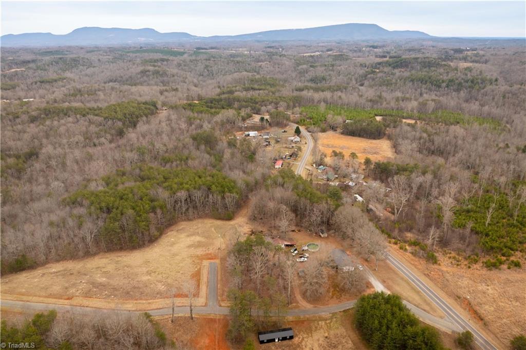 0 Dearmin Road Westfield, NC 27053 - Photo 3 of 33