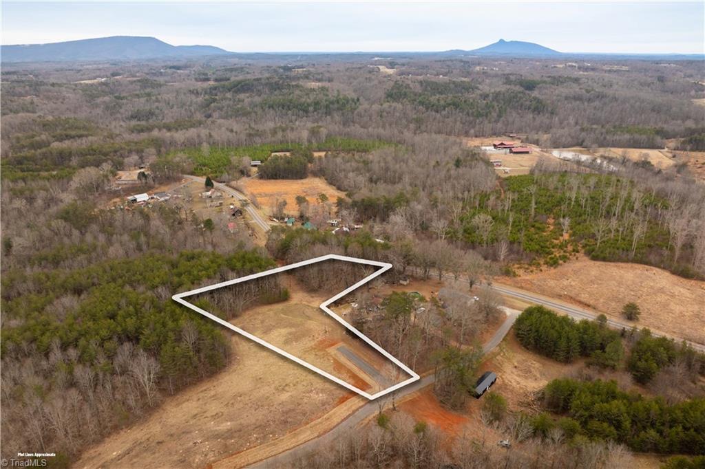 0 Dearmin Road Westfield, NC 27053 - Photo 4 of 33