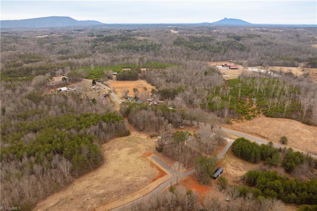 0 Dearmin Road Westfield, NC 27053 - Photo 5 of 33