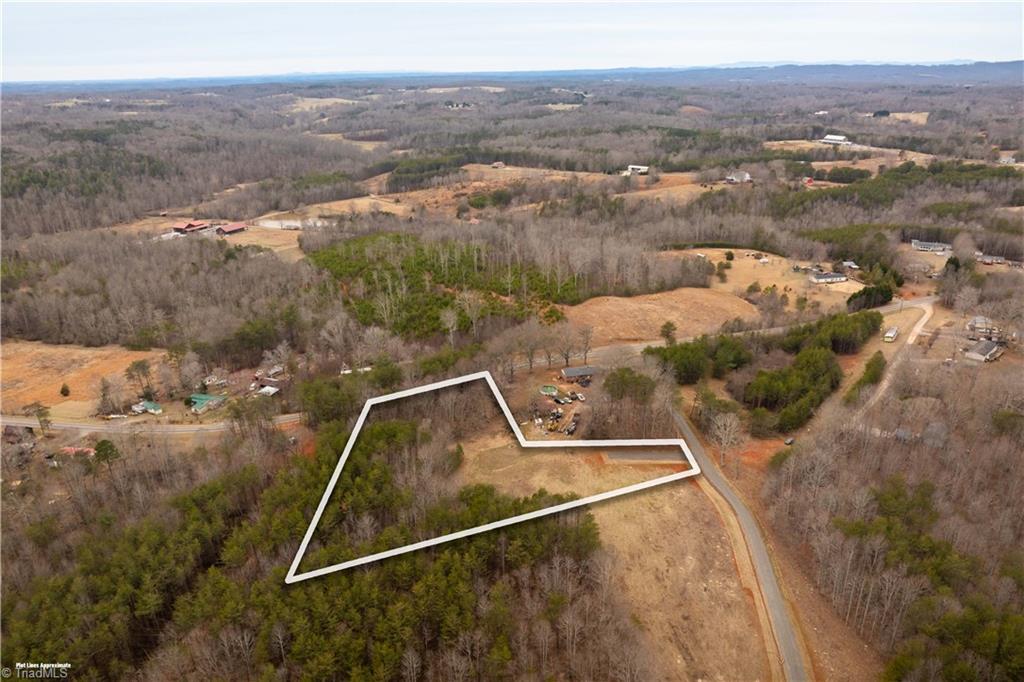 0 Dearmin Road Westfield, NC 27053 - Photo 6 of 33