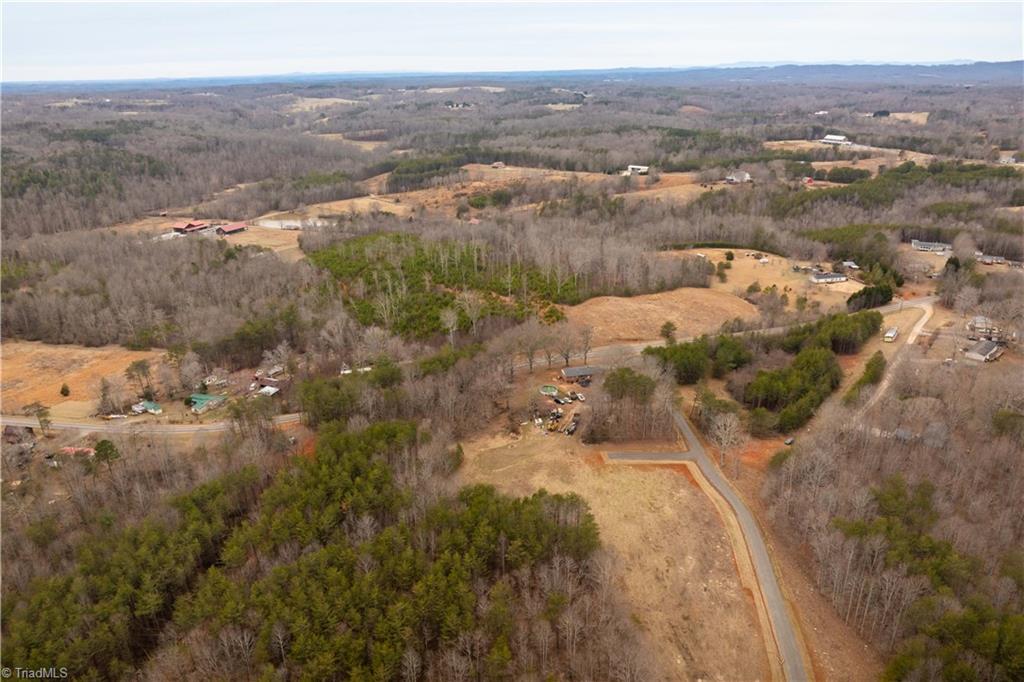 0 Dearmin Road Westfield, NC 27053 - Photo 7 of 33